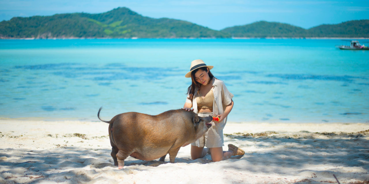 Jet Ski Tour 3h Koh Madsum