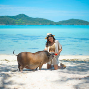 Asian woman tourist feeding fruit for pig at Koh Mad Sum (Mad Sum Island or Pigs Island) small island near Koh Samui Island, Thailand. https://www.siam-experiences.com/wp-content/uploads/2025/11/jpg-1-300x300.jpeg